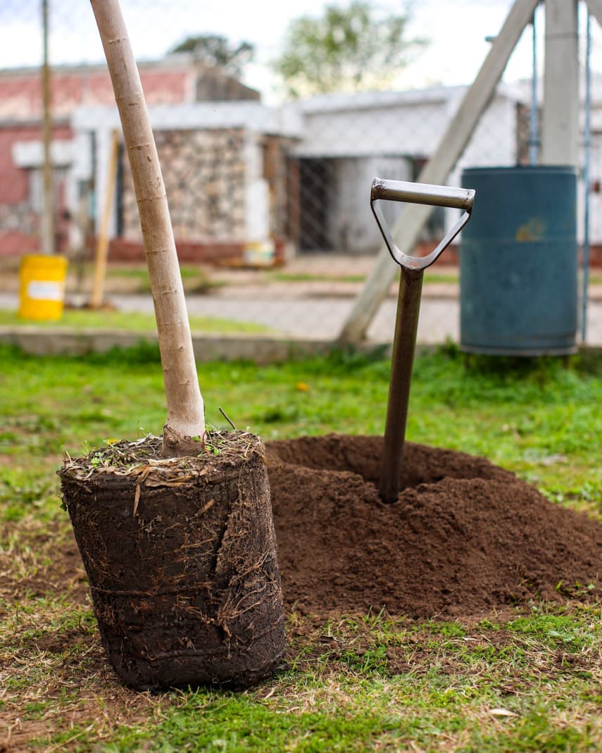 UNA JORNADA PARA PLANTAR Y APRENDER: EL JARDÍN LEONOR DE TEJEDA CELEBRÓ EL DÍA DEL ÁRBOL