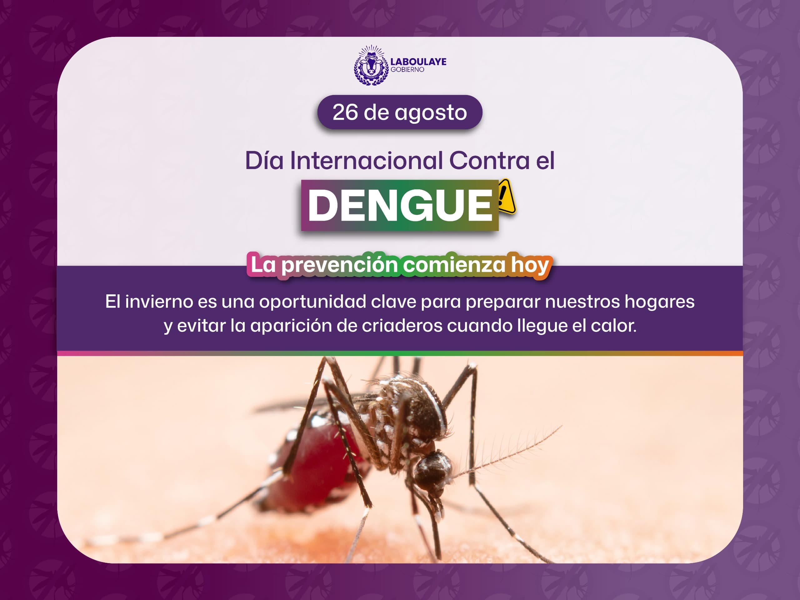 26 de agosto: Día internacional de la lucha contra el Dengue