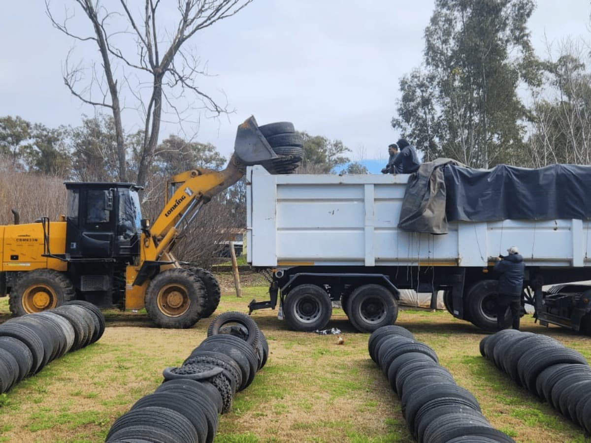 Laboulaye envió 7.000 kilogramos de Neumáticos Fuera de Uso para su recuperación