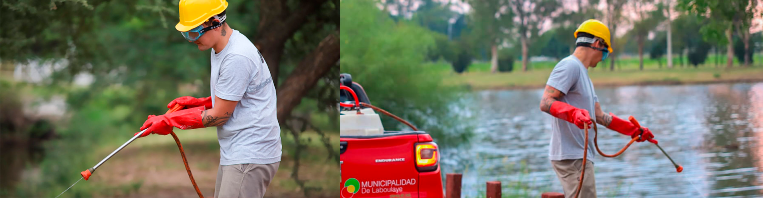 IMPORTANTES TRABAJOS DE CONTROL DE MOSQUITOS