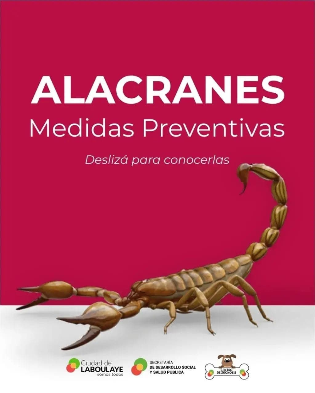 CAMPAÑA DE PREVENCIÓN DE ALACRANES